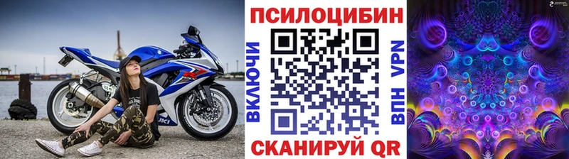 Галлюциногенные грибы GOLDEN TEACHER  цены   Скопин 
